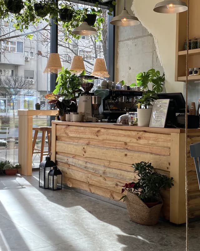 A café’s wooden counter with plants and stools